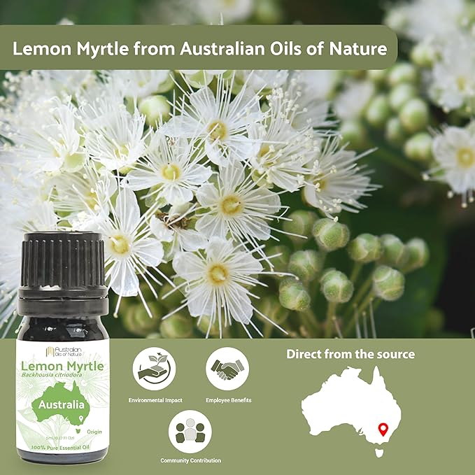 Lemon Myrtle Essential Oil - Experience an Invigorating, Fresh Citrus Aroma - Pure, Undiluted Therapeutic Grade Essential Oil - 8 oz
