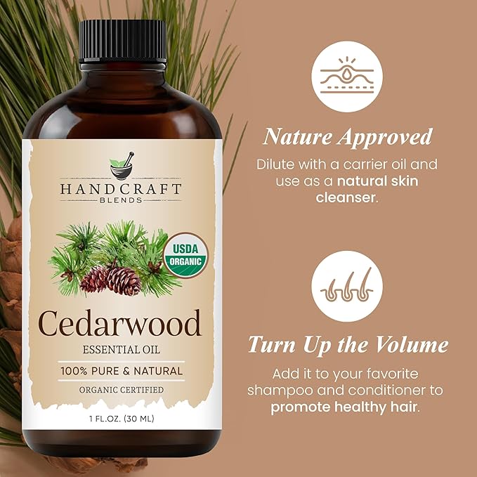Handcraft Blends Organic Cedarwood Essential Oil – 1 Fl Oz – 100% Pure and Natural – Premium Grade Essential Oil for Diffuser and Aromatherapy
