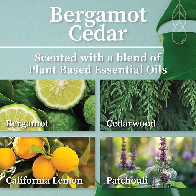 Hemlock Park Crackling Wood Wick Candle Handcrafted with Natural Coconut Wax (Large 16 oz, Bergamot Cedar)