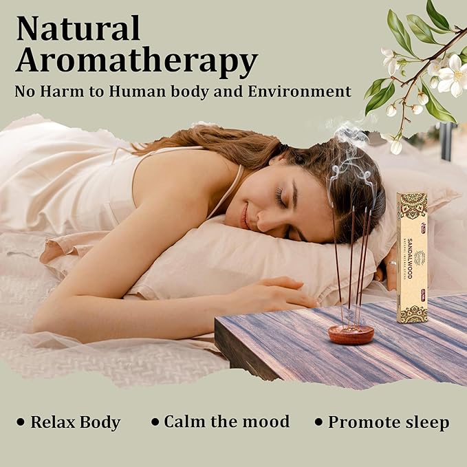 raajsee Incense Sticks Assorted Pack (180 gm), 100% Pure Organic Natural Hand Rolled Free from Chemicals - Perfect for Aromatherapy, Cleansing, Meditation, and Church (12 Pack)