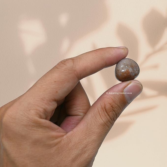 Amazing Gemstone Fancy Jasper Crystals and Healing Stones Tumbled - 1 oz Fancy Jasper Stone, Natural Healing Stones for Energy Balance, Stress Relief - Premium Polished Gems Rocks for Meditation