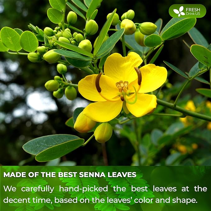 FreshDrinkUS, Permium 4.5oz Senna Leaves, 100% Natural & Pure from Senna Leaves, Senna Leaf Tea, Senna Loose Leaf Herbal Tea, No Additives, No Caffeine, Vegan