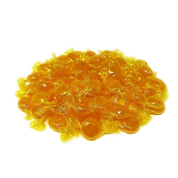 Butterscotch Hard Candy Disks - 1 lbs - Butter Scotch Flavored Old School Classic Hard Candies - American Vintage Candy Snack Assortment - Individually Wrapped, 16 oz.