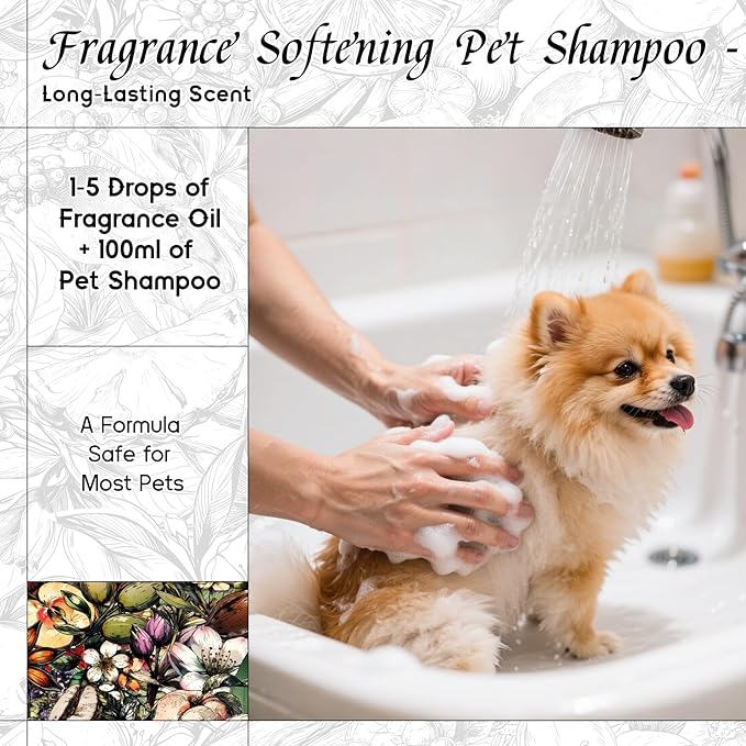 HIQILI Fantasy Girl Fragrance Oil for Candle, Perfume Making, Praline & Pomelo Scents, Long Lasting, Skin & Hair Care Products, Gifts - 5.07 Fl Oz