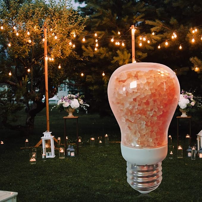 Himalayan Glow 60-Watt Salt Light Bulb - 1 Count, Dimmable, Fits Most Salt Lamps, Warm Ambiance, Room Decor, Home Decor, Energy Efficient, Long Lasting, Relaxation, Gift