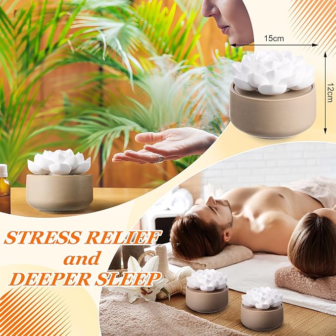 Honeydak 2 Pcs Flower Passive Essential Oil Diffuser Stone White Ceramic Porcelain Floral Diffuser with Container Non Electric Handmade Decorative Tabletops Home Decoration Christmas (Succulent)