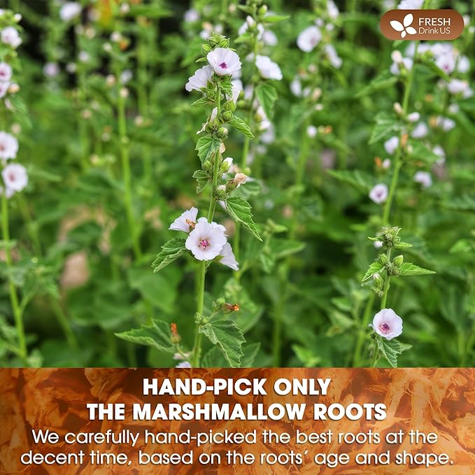 FreshDrinkUS, Premium 55 Marshmallow Root Tea Bags, 100% Natural & Pure from Marshmallow Root, Eco-Conscious Tea Bags, Marshmallow Root Herbal Tea. No Sugar, No Caffeine, No Gluten, Vegan.
