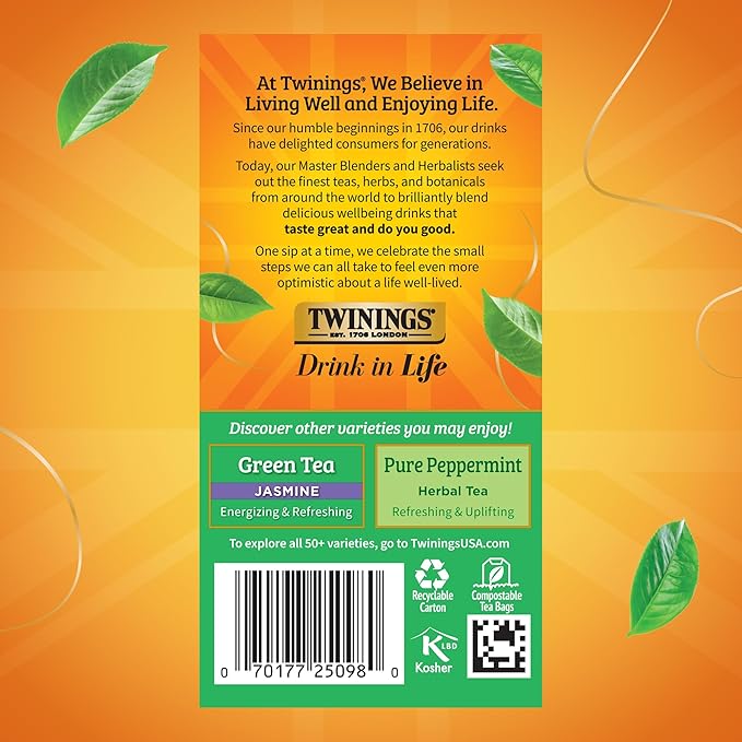 Twinings Green Tea with Mint Individually Wrapped Bags, 20 Count (Pack of 6), Invigorating Aroma, Caffeinated, Enjoy Hot or Iced, 120 Teabags
