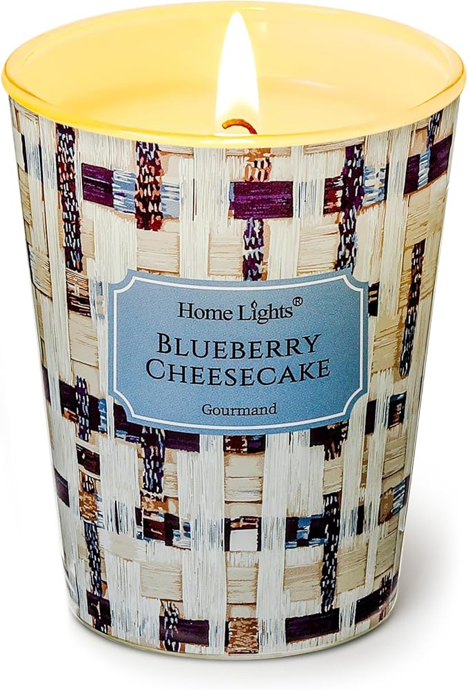 HomeLights Scented Candles for Women & Men, 6.7oz Candle Jars Aromatherapy Single Wick Candle, Ideal for Rustic Modern Home Decor and Gifts, Blueberry Cheesecake