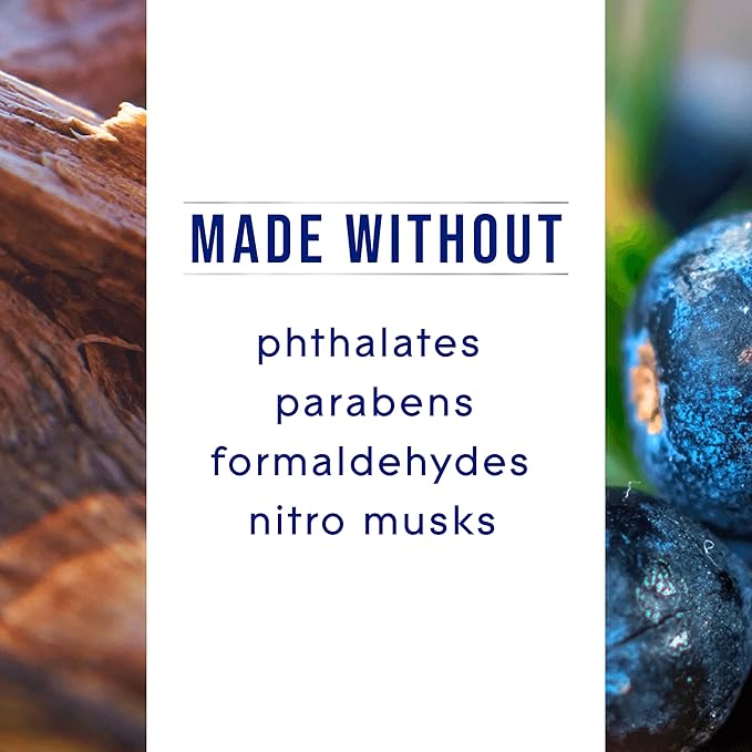 Glade PlugIns Refills Air Freshener, Scented and Essential Oils for Home and Bathroom, Juniper & Teak, Fresh Collection 3.35 Fl Oz, 5 Count