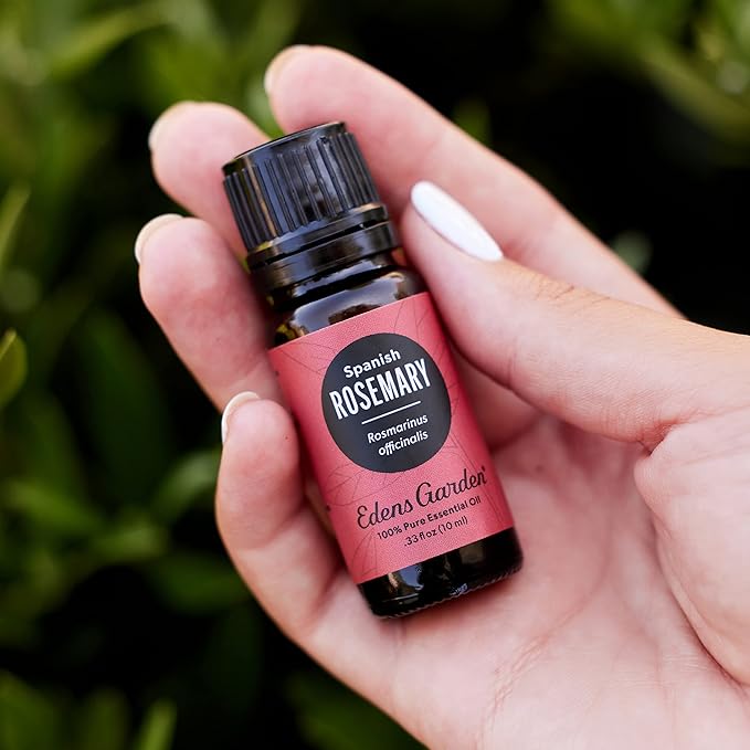 Edens Garden Rosemary- Spanish Essential Oil- 100% Pure Premium Grade, Undiluted, Natural, Therapeutic, Aromatherapy, The Best for Diffuser, Candle, Laundry, Humidifiers 30 ml (1 fl oz)
