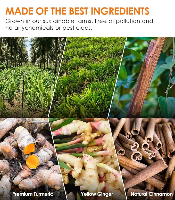 60Pcs Turmeric Ginger Cinnamon Tea, Natural Turmeric Herbal Tea, Improve Digestion, Support Skin, Sleep, Eco-Conscious Teabags, No Sugar, No Caffeine, No Gluten