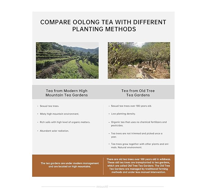 iTeaworld Oolong Tea Set 4 Flavors, Oolong Tea Sampler Loose Leaf, Flowery Aroma, No Sweetener, High to Low Caffeine, Up to 112 Cups, Whole Leaf, 2.1OZ