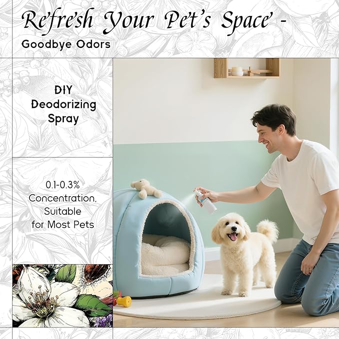 HIQILI Dragon Tea Nebula Fragrance Oil for Candle & Perfume Making, Hotel Scents for Essential Oil Diffuser, Room Spray, Thé Yulong - 1 Fl Oz