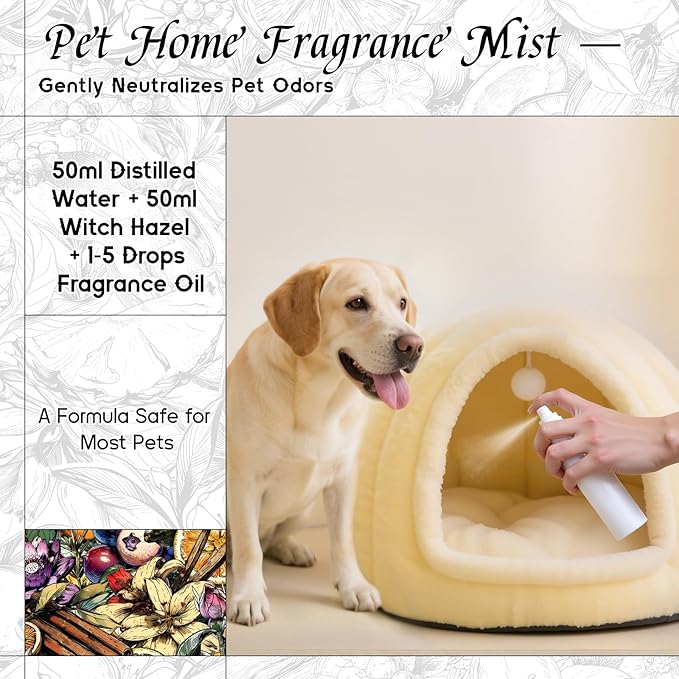 HIQILI Crisp Zenith Fragrance Oil for Diffuser, Inspired by P.RAL.Lau-ren Rd.Wht & Blu, Candle & Soap Making, Refreshing Scent for Air Freshener, Long-Lasting Aroma-5.07 Fl Oz