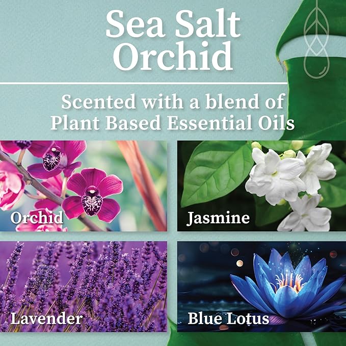 Hemlock Park Apothecary Wood Wick Candle Trio | Gift Set of Three 4 oz Candles Handcrafted with Natural Coconut Wax (Garden | Lavender, Scarlet Rose, Sea Salt Orchid)