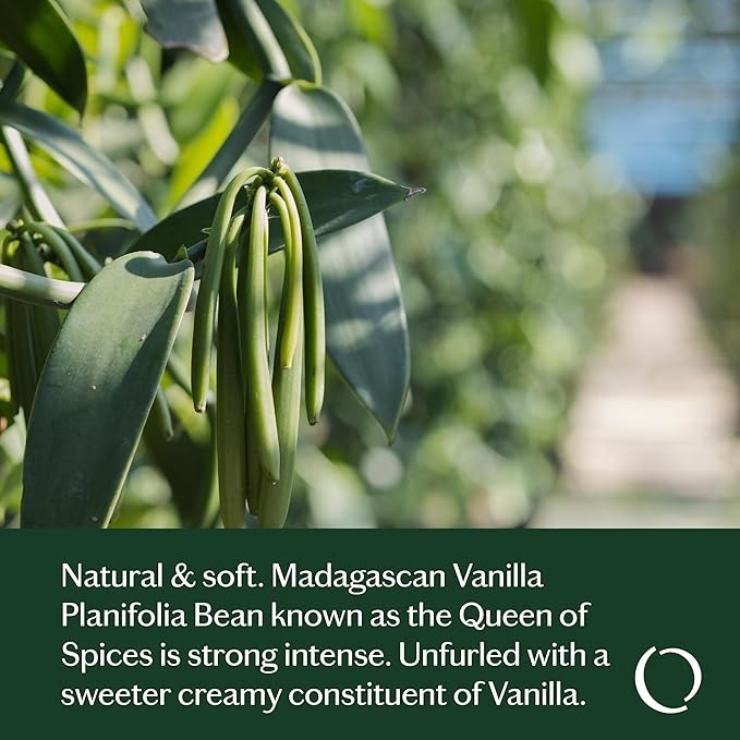 LIVEDROPS 24/7 Good Vanilla Essential Oil Blend, Natural Vegan Aromatherapy for Diffuser or Diluted Skin Use, Sweet Warm Creamy Scent, Made in France, Bottled in USA, Clinically Tested, 10ml