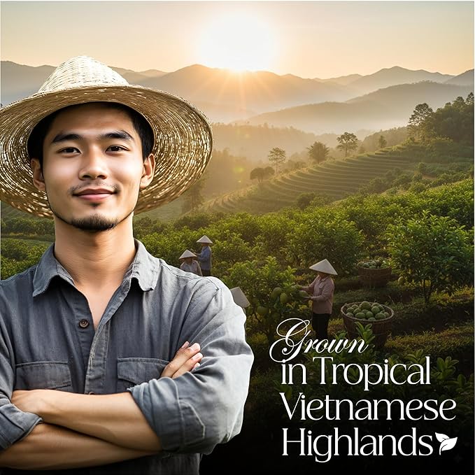 50 PACK Soursop Leaves Tea Bags – Individual Wrapped Tea Bags – All Natural Herbal Tea | Caffeine Free | No Preservatives, No Sugar - Rich In Antioxidants