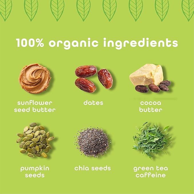 Feel Vegan Protein Bars | Matcha Latte | Keto | Gluten Free | Organic | 15g Plant Protein | Low Carb | High Protein | Dairy Free | Low Sugar | Nut, Grain, Soy Free | Non GMO | 10 Pack