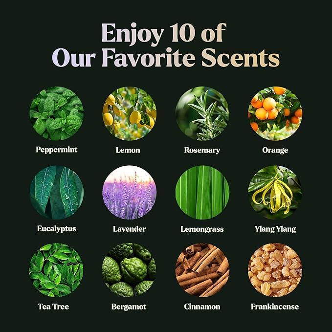 Lagunamoon Essential Oils Set - 12 Piece Premium Grade Home Essentials Oils - for Diffusers, Fragrance, Scents for Candle Making - Natural Aromatherapy Oils for Cars & Home Products, Room Sprays