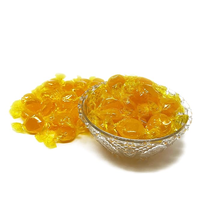 Butterscotch Hard Candy Disks - 1 lbs - Butter Scotch Flavored Old School Classic Hard Candies - American Vintage Candy Snack Assortment - Individually Wrapped, 16 oz.