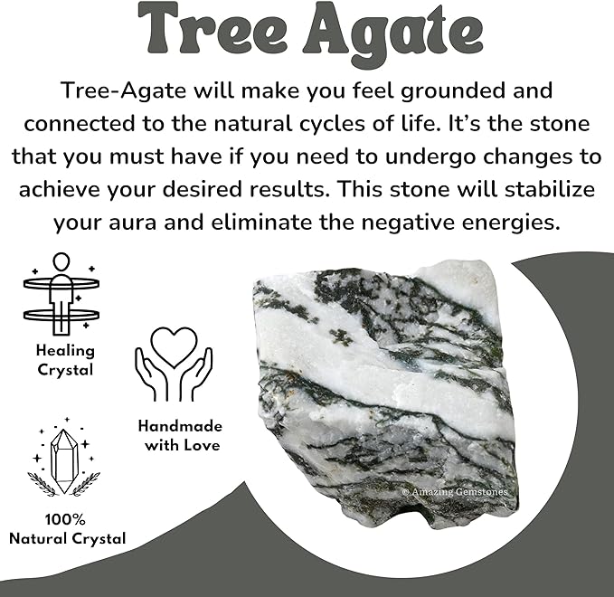 Amazing Gemstone 2 Pieces Tree Agate Raw Crystals and Healing Stones, Natural Rocks for Tumbling and DIY Raw Stones and Crystals