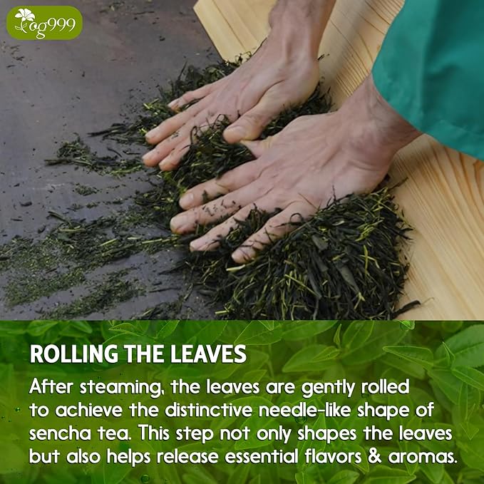 TOG999, Premium 60 Sencha Green Tea Bags, 100% Natural & Pure from Sencha Green Tea Leaves. Loose Leaf Sencha Herbal Tea. No Sugar, No Gluten, Vegan.