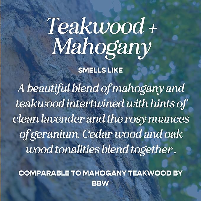 CANDECraftCo Car Air Hanging Fragrance Oil, Car Auto Freshener for Essential Oils, Scents Fragrance Aromatherapy Automobile Diffuser, Long Lasting (Teakwood + Mahogany)