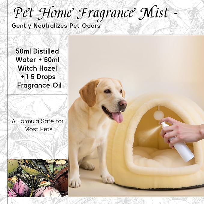 HIQILI Blue Ember Fragrance Oil for DIY Perfume, Body Wash & Candle Making, Long-Lasting Scents for Skin & Hair Care Products, Gifts - 1 Fl Oz