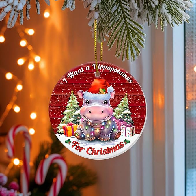 I Want a Hippopotamus for Christmas Ornament, Cute Hippo Tree Decoration with Lights, Funny for Men Women 2025