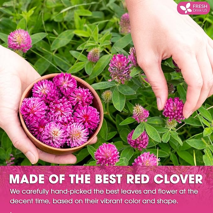 FreshDrinkUS, Premium Red Clover Herbal Tea– 135 Tea Bags – Pure – Naturally Smooth & Mild Flavor – Premium Quality, Eco-Conscious Packaging. Caffeine-Free. Gluten Free. Vegan