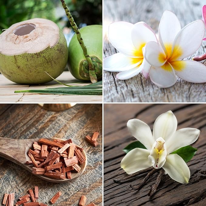 Candle Wood Collection, 15 oz, 1 Wooden Wick, Coconut Sands, Square Glass Jar Candle