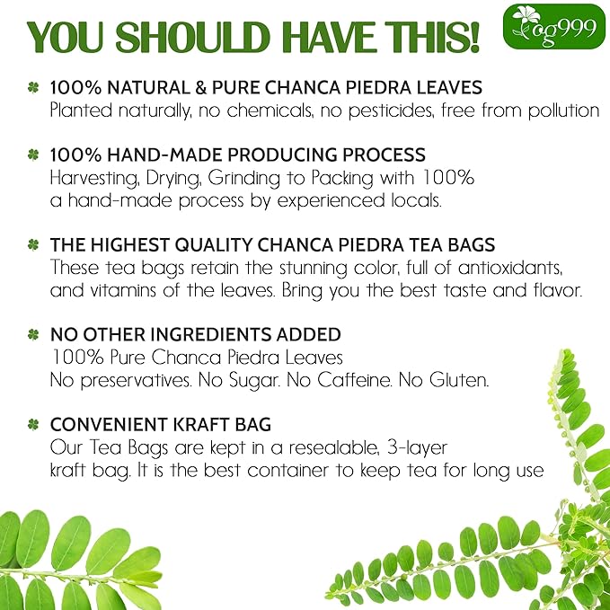 TOG999, Premium 120 Chanca Piedra Leaf Tea Bags, 100% Natural & Pure from Chanca Piedra Leaves. Loose Leaf Chanca Piedra Herbal Tea. Made with Natural Material Tea Bags. No Sugar, No Caffeine, No Gluten, Vegan.