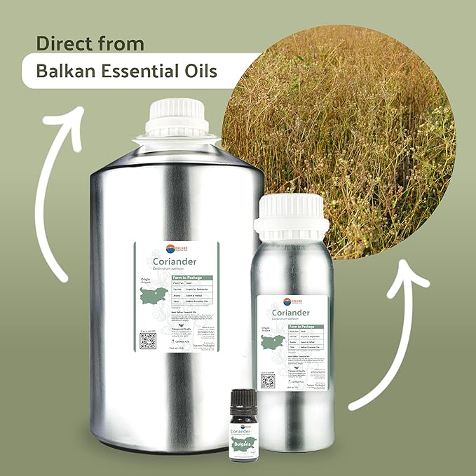 Coriander Essential Oil - Direct from Bulgarian Balkan Mountains - Steam Distilled - Aceite Cilantro for Aromatherapy, Massage, Diffuser, DIY Candle and Soap Making - 8oz