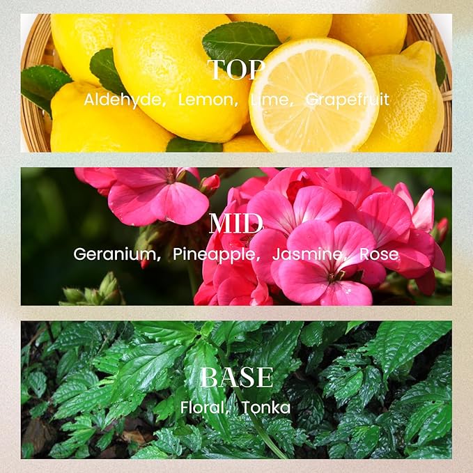 M&SENSE 6.3 oz Large Reed Diffuser Set | Fresh Grapefruit Scent Oil Diffuser with Sticks | Hotel Collection Non-Toxic Essential Oil |for Bedroom Bathroom Living Room