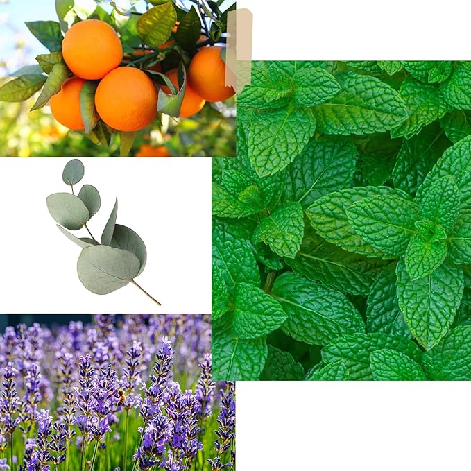 ROMIIE ZOI Christmas Scented Candle - 6oz Soy Wax Candle, Christmas Reindeer, Infused with Peppermint Aroma - Scottish Plaid Navy and Red Gift Box for Holiday Season Gift