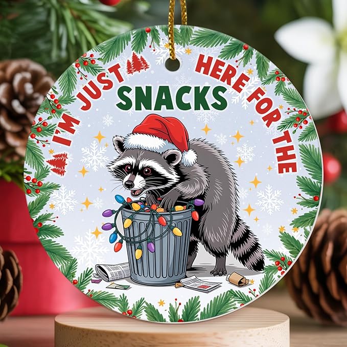 Funny Raccoon Christmas Ornaments 2025 - Im Just Here Ceramic Tree Decoration, 2-Sided UV Print, for Men Women, Rustic Xmas Decor