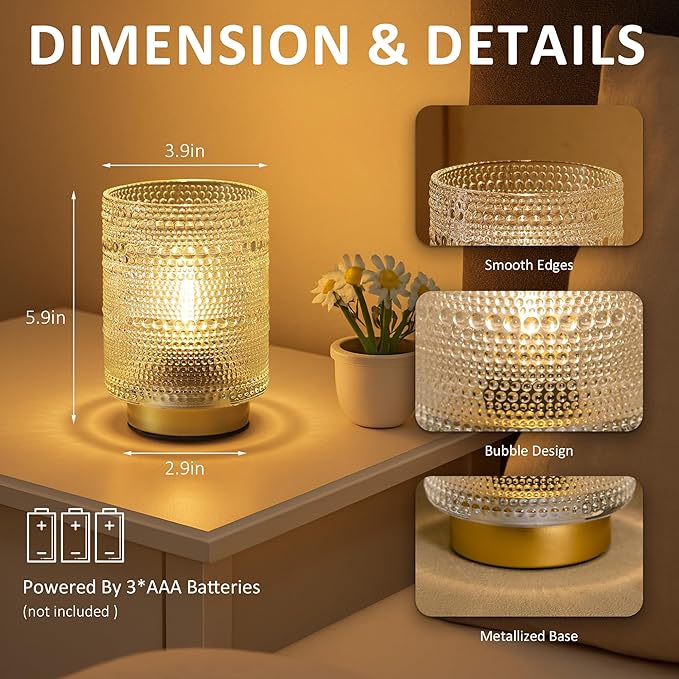 2 Pack Battery Operated Decorative Aesthetic Lamp with Timer for Dorm/Office/ Patio/Bedside/,Small Cordless Table Lamps with LED Warm Bulb for Shelf/Coffee Table/Entryway/ Mantle/Dresser Decor(Clear)