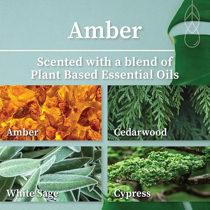 Crackling Wood Wick Candle Handcrafted with Natural Coconut Wax and Essential Oils (Amber, Standard 8 oz), White