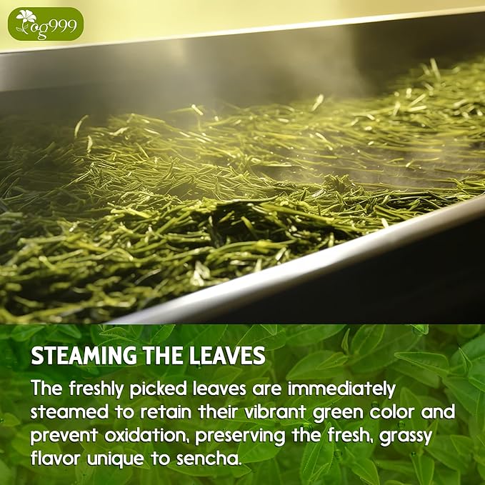 TOG999, Premium 60 Sencha Green Tea Bags, 100% Natural & Pure from Sencha Green Tea Leaves. Loose Leaf Sencha Herbal Tea. No Sugar, No Gluten, Vegan.