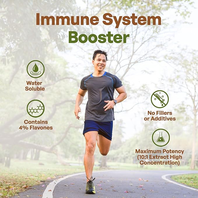 Go Nutra Dandelion Root Powder for Tea, Coffee & Beverages | Concentrated 10:1 Dandelion Root Extract Powder, Caffeine Free | Antioxidants, Digestion & Immune System | Non-GMO, Vegan | 16 oz (1 lb)