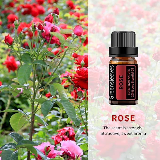 GREENSLEEVES Rose Eucalyptus Essential Oil Set, 2 x 10ml Pure Plant-Based Fragrance Oil for Aromatherapy, Essential Oils for Diffuser, Massage, Bath Bomb, Scented Candle Soap Making