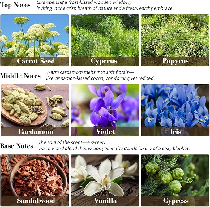 Viyffo Sandalwood Scented Candle, Natural Soy Wax in Modern White Ceramic Jar, Long Lasting Aromatherapy Candle for Relaxation, Meditation & Home Decor Gift