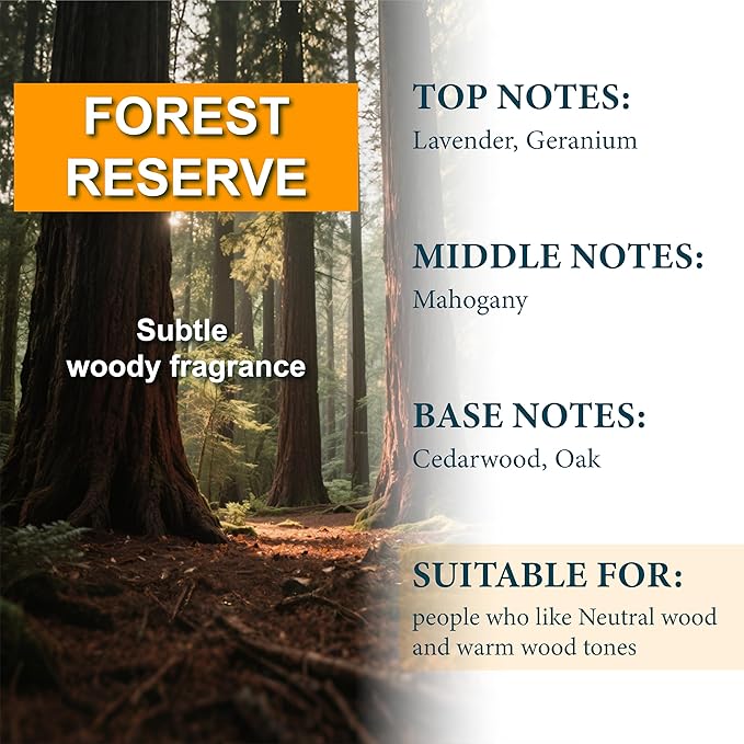 Hanging Car Air Freshener (Pack of 3) : Luxury Car Perfume for Women Men | Cute & Reusable Bottle with 45+ Days Long-Lasting Fragrance Oil Diffuser, Forest Reserve