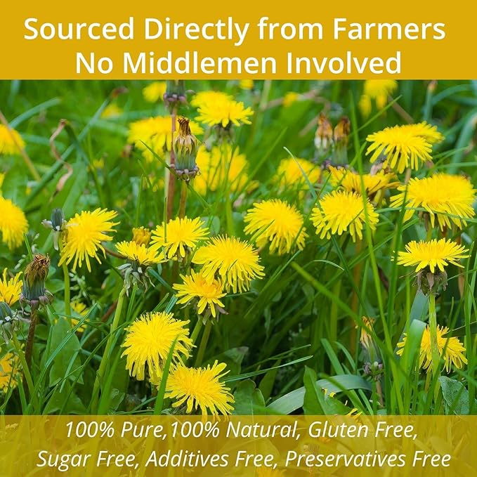 60 Roasted Dandelion Root Tea Bags, 2g/Bags, VitalForest Natural Detox Dandelion Tea, Dried Dandelion Root Coffee Substitute, Diente De Leon, Caffeine Free, Canister Packaged