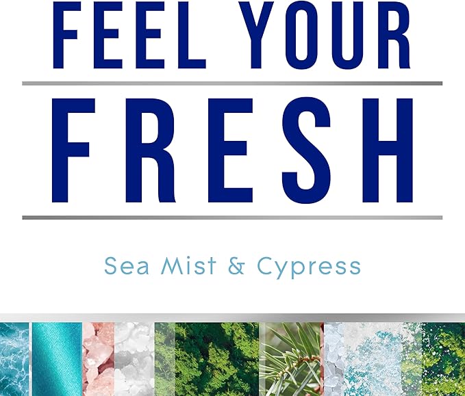 Glade PlugIns Refills Air Freshener, Sea Mist & Cypress, Scented and Essential Oils for Home and Bathroom, 0.67 Fl Oz, 5 Count