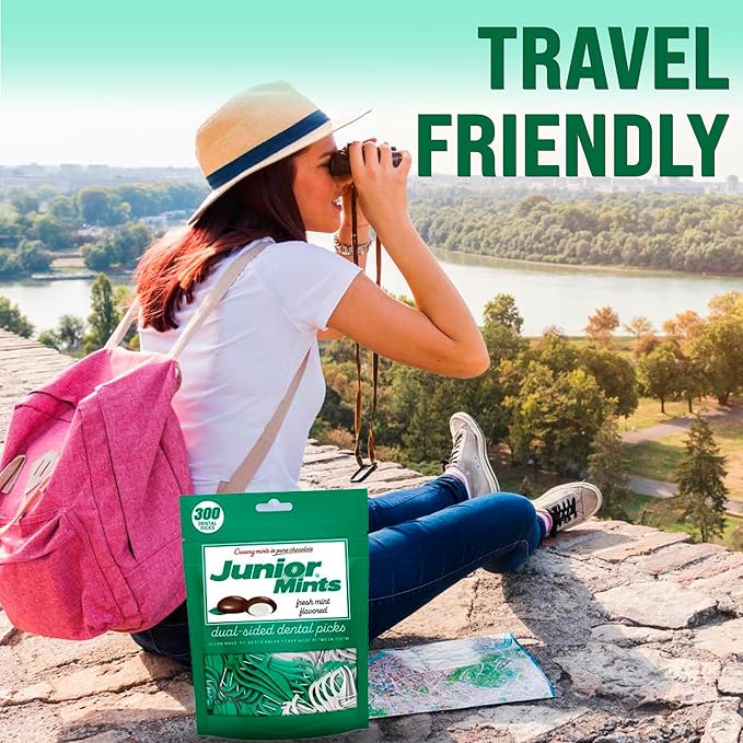 Flavored Floss Picks, 300 Count, Dental Floss Picks for Teeth with Fun Fruit Flavors, Flosser Picks for Adults and Children, | Mint Flavor