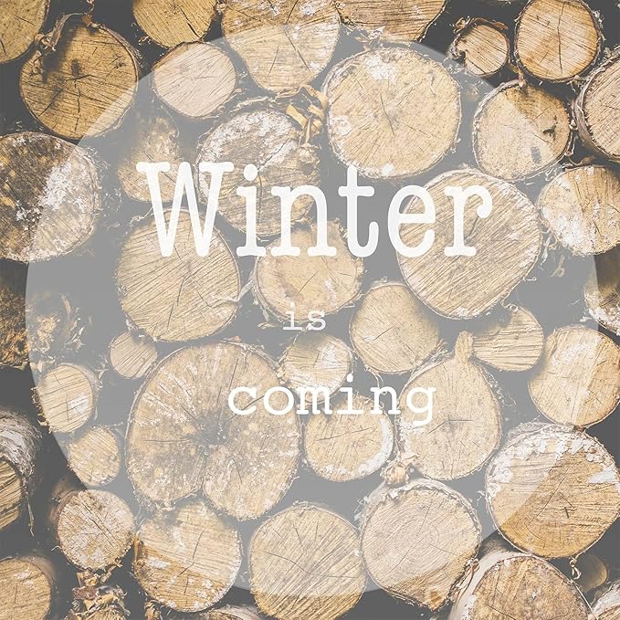 Essential Oils Set, Winter Scents Fragrance Oil Essential Oils for Diffusers for Home - Christmas Wreath, Gingerbread, Fireplace, Cranberry, Forest Pine, Winter Mint Scented Oil, 6x10ml