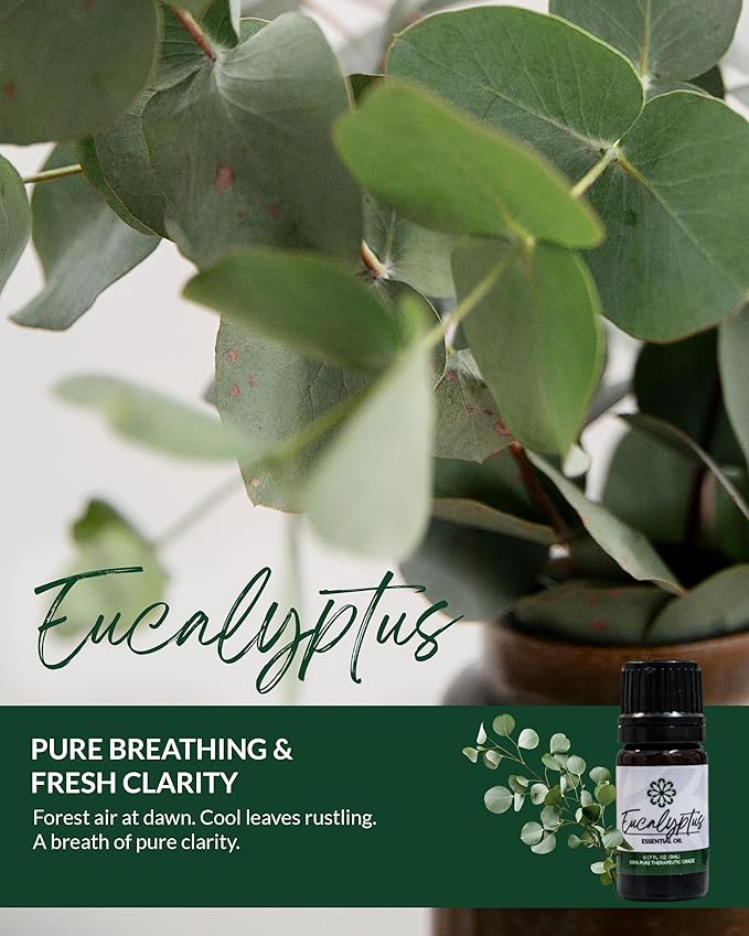 Essence Eucalyptus Essential Oil – 100% Pure & Therapeutic Grade – Perfect for Aromatherapy, Diffusers & Recharging Essence Nasal Diffuser Rings – Natural Stress & Mood Support (5mL)