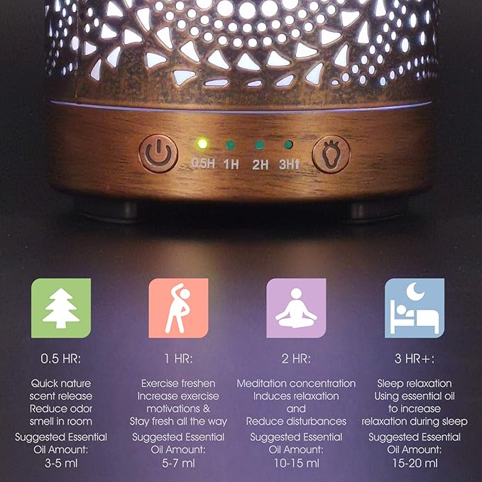 Earnest Living Essential Oil Diffuser Metal Diffuser 100 ml Timers Night Lights and Auto Off Function Home Office Humidifier Aromatherapy Diffusers for Essential Oils Gift